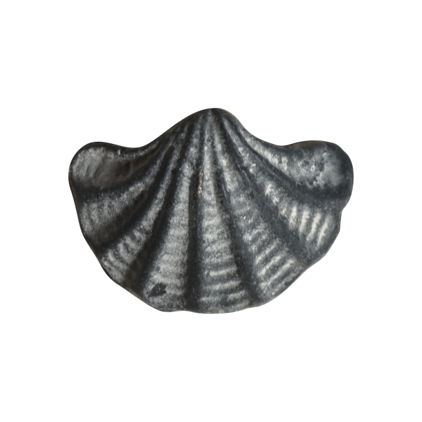 Chic Antique Chic Antique Greb Musling, Gr