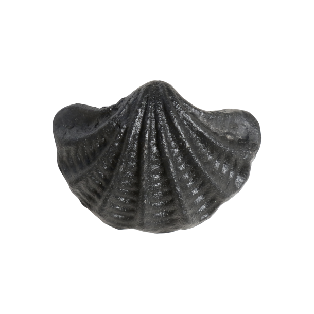 Chic Antique Greb Musling, Antique Sort