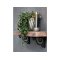 Chic Antique Hyldekngt Stbejern, Antique Sort