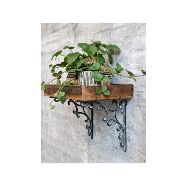 Chic Antique, Hyldekngt m. fransk lilje, Antique Gr