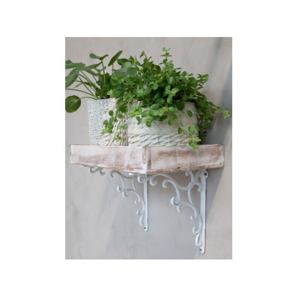 Chic Antique, Hyldekngt m. fransk lilje, Antique Creme