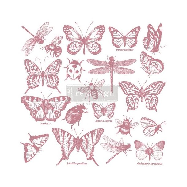 Vintage Paint Decor Stamp, Monarch Collection