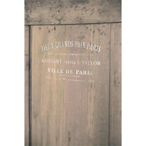 Jeanne d'Arc Living Stencil, Ville de Paris, Lille