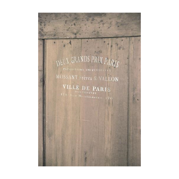 Jeanne d'Arc Living Stencil, Ville de Paris, Lille