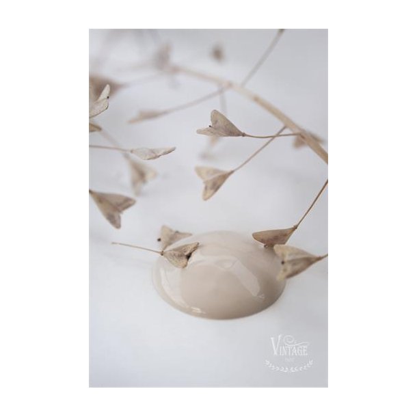 Jeanne d'Arc Living Vintage Cream Vg Kalkmaling, 2,5L