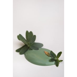 Vintage Paint Graceful Green Kalkmaling