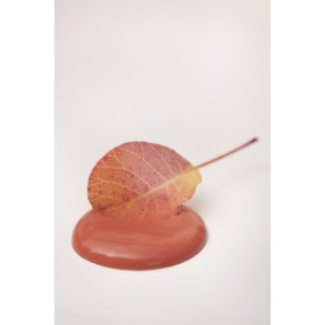 Vintage Paint Pretty Peach Kalkmaling