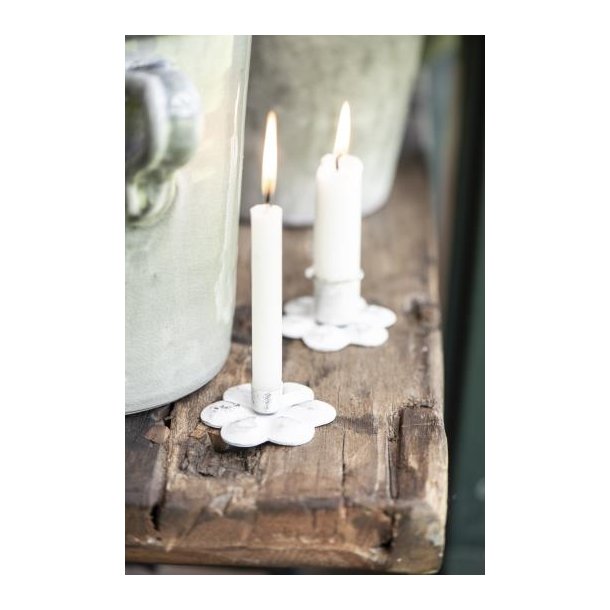 Ib Laursen Stage t/bedelys blomst