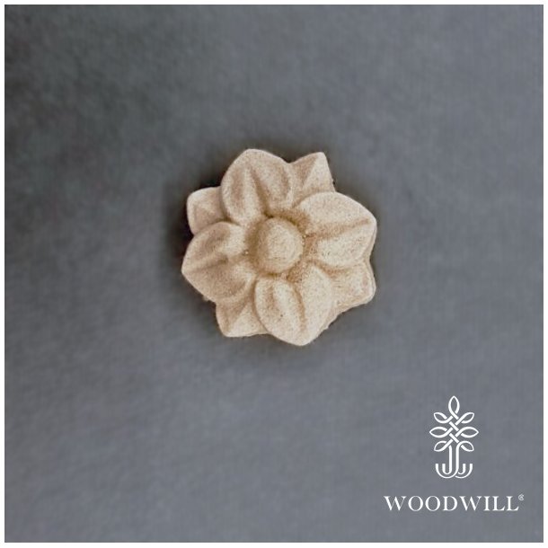 Vintage Paint, Woodwill Trudskring, 3,8 cm.