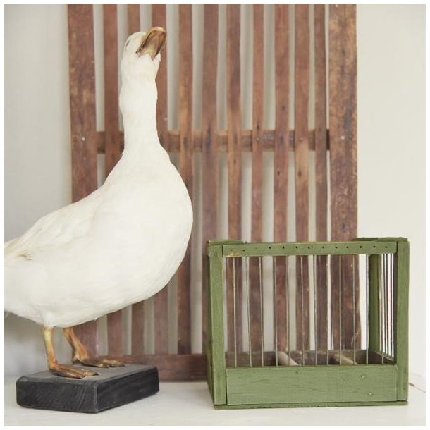 Jeanne d'Arc Living Olive Green Kalkmaling, 100ml