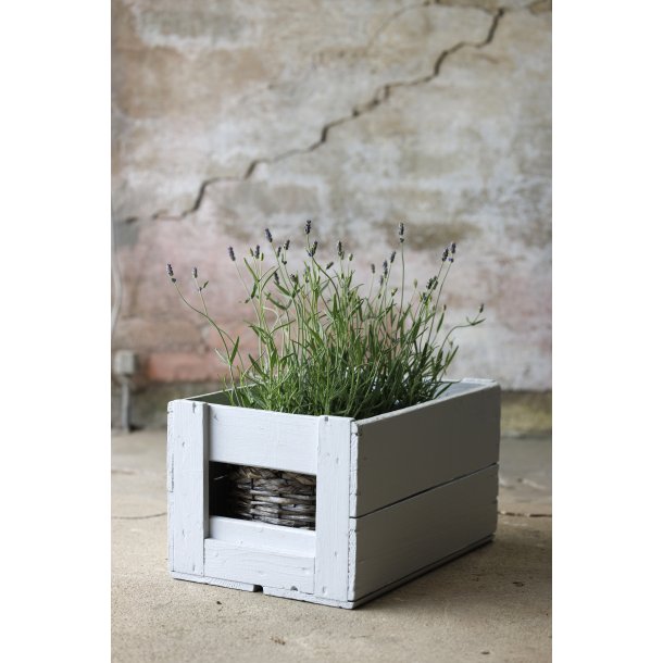 Kalkmaling Strand Sten