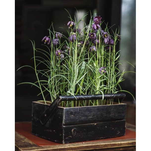 Sjls Nordic Trkasse til opbevaring, Lille